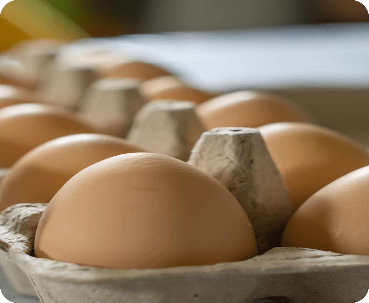 Brown eggs in a carton